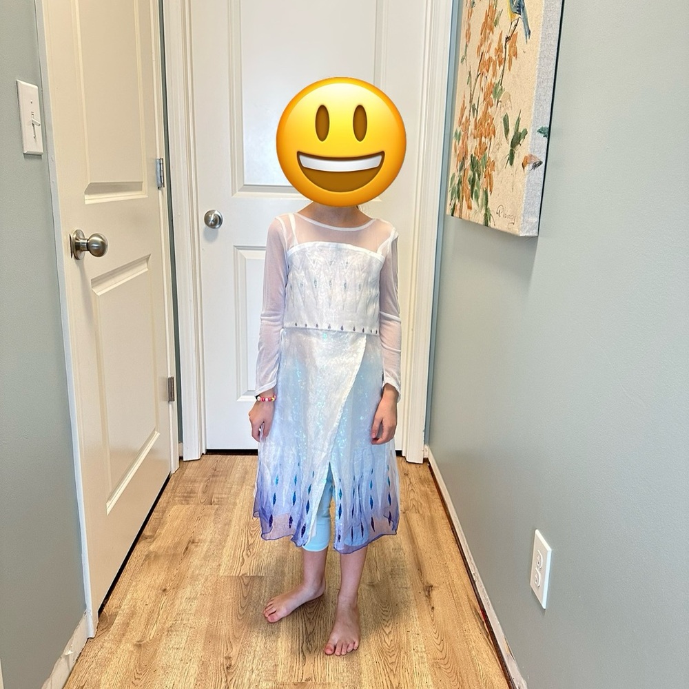 Disney Frozen 2 Elsa Snow Queen costume